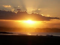 Filename=PICT3679.JPG
Filesize=324KB
Dimensions=1200x900
Date added=Mar 31, 2008 PICT3679.JPG